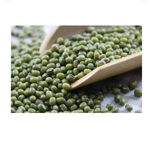 Premium Quality Whole Green Mung Bean Shelled Green Beans