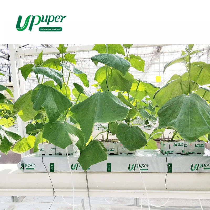 Культивационная лента UPuper 40x8x3 дюйма посадка каменная вата гидропонный рост среднее выращивание в