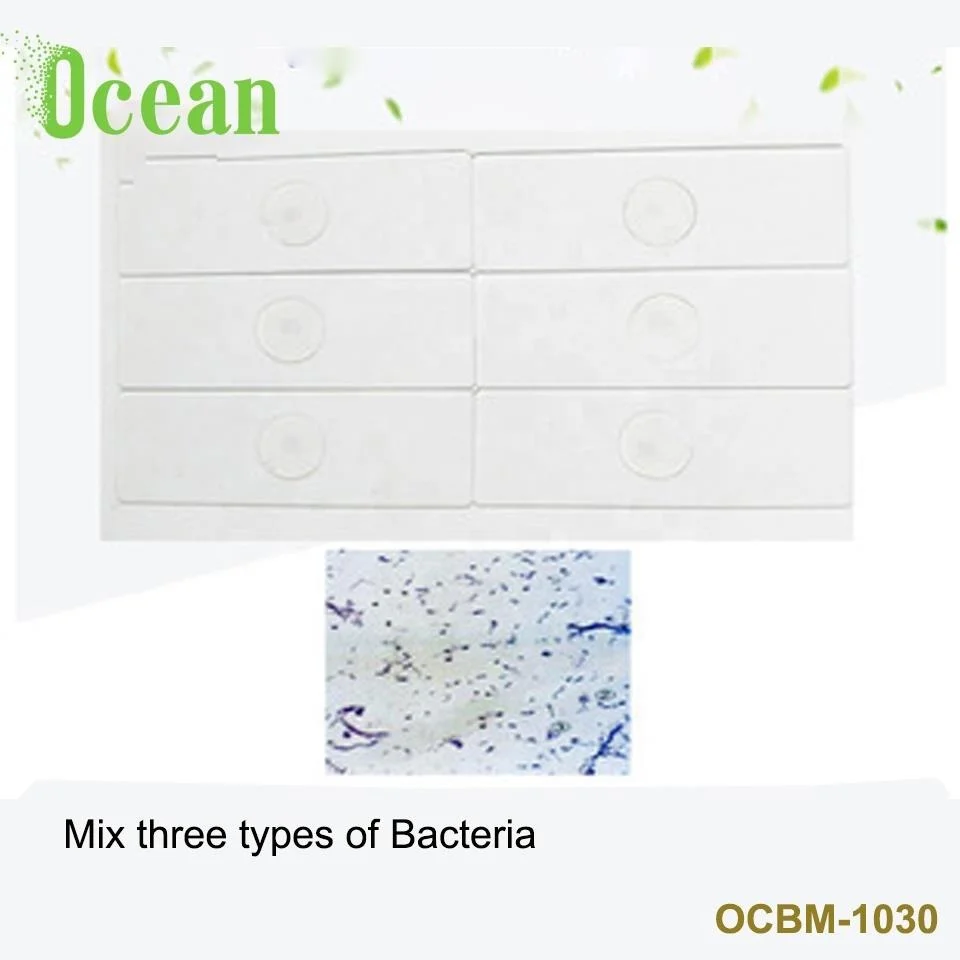 Mix three types of Bacteria prepared microscope slide