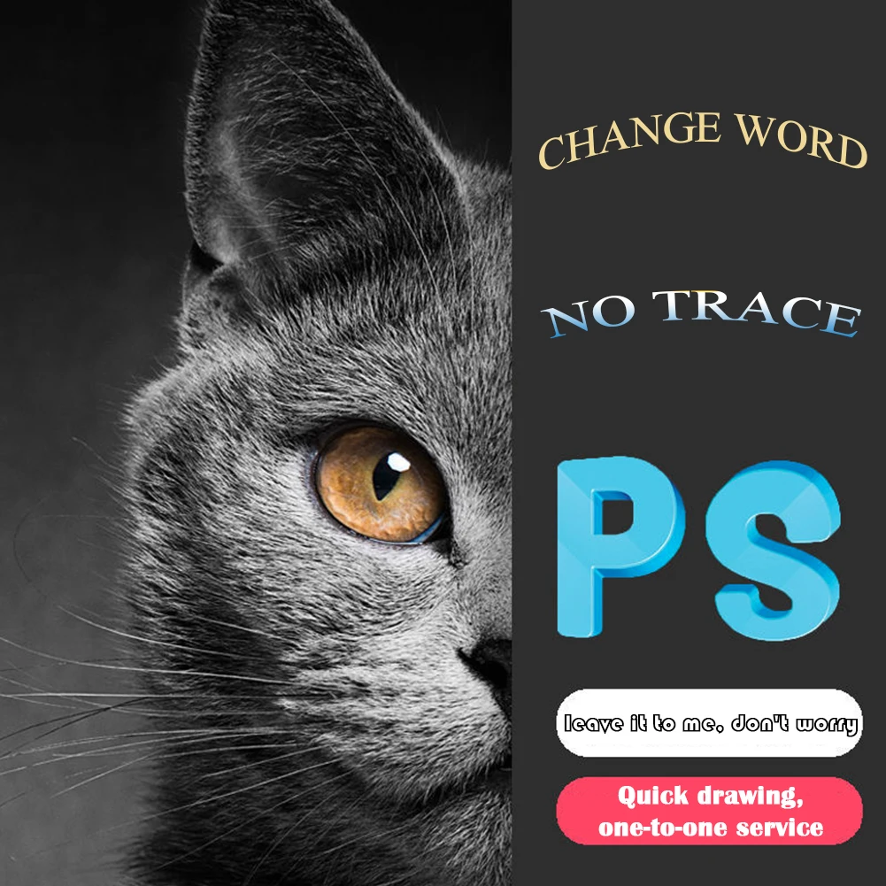 Semi,Amazon Product Image Photography Service Clothing Apparel,20 Years Ecommerce Experience,Lifestyle Professional Photographer