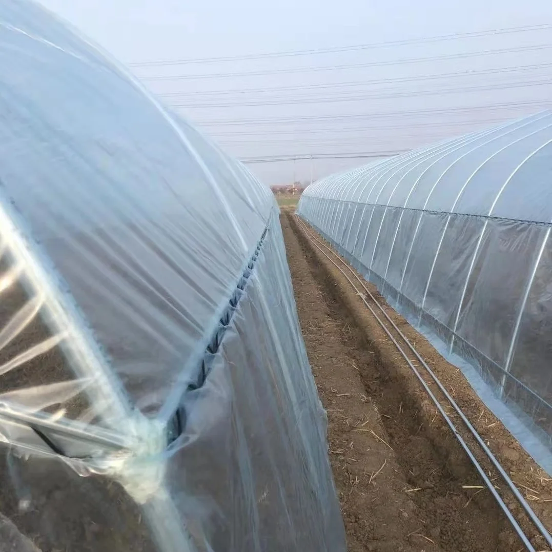 Hangmei Economic single span greenhouse poly tunnel invernadero smart for