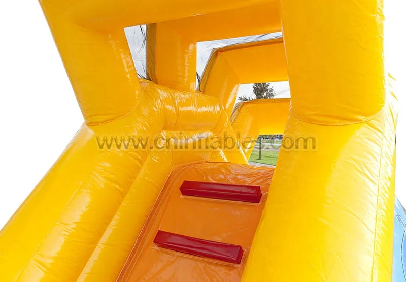 Надувная водная горка с дельфином на заднем дворе, оптом | Бассейн с шариками