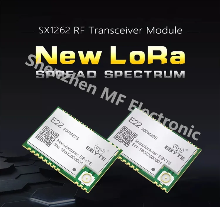 6. Lora Module.jpg