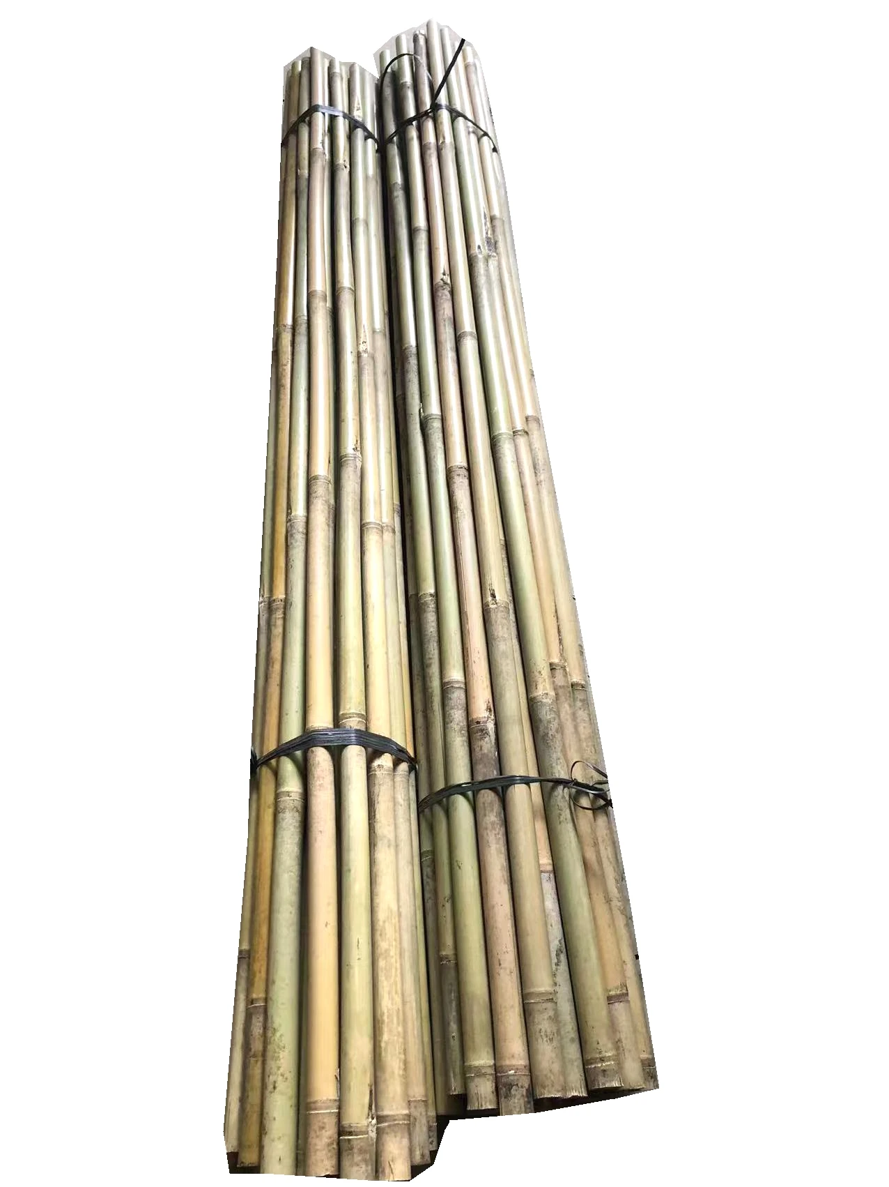 Bamboo Cane Big Pole Natural Straight Agriculture Cheap Raw Bamboo  Plant Support  5