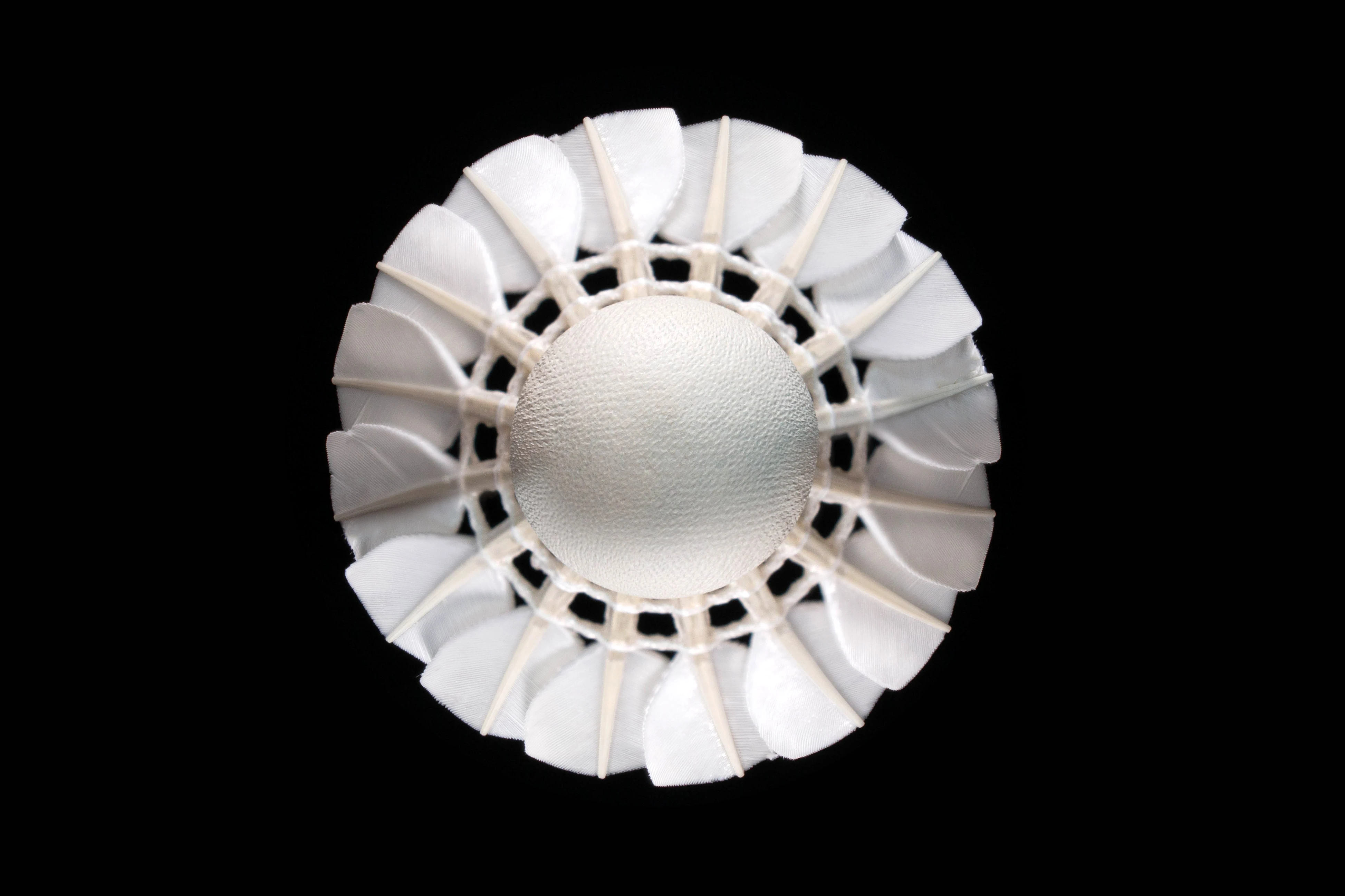 Hot Sale In USA Philippines Vietnam Badminton Shuttlecock Shuttles Ball Goose Duck Feather LINGMEI-20 For Tournament Training