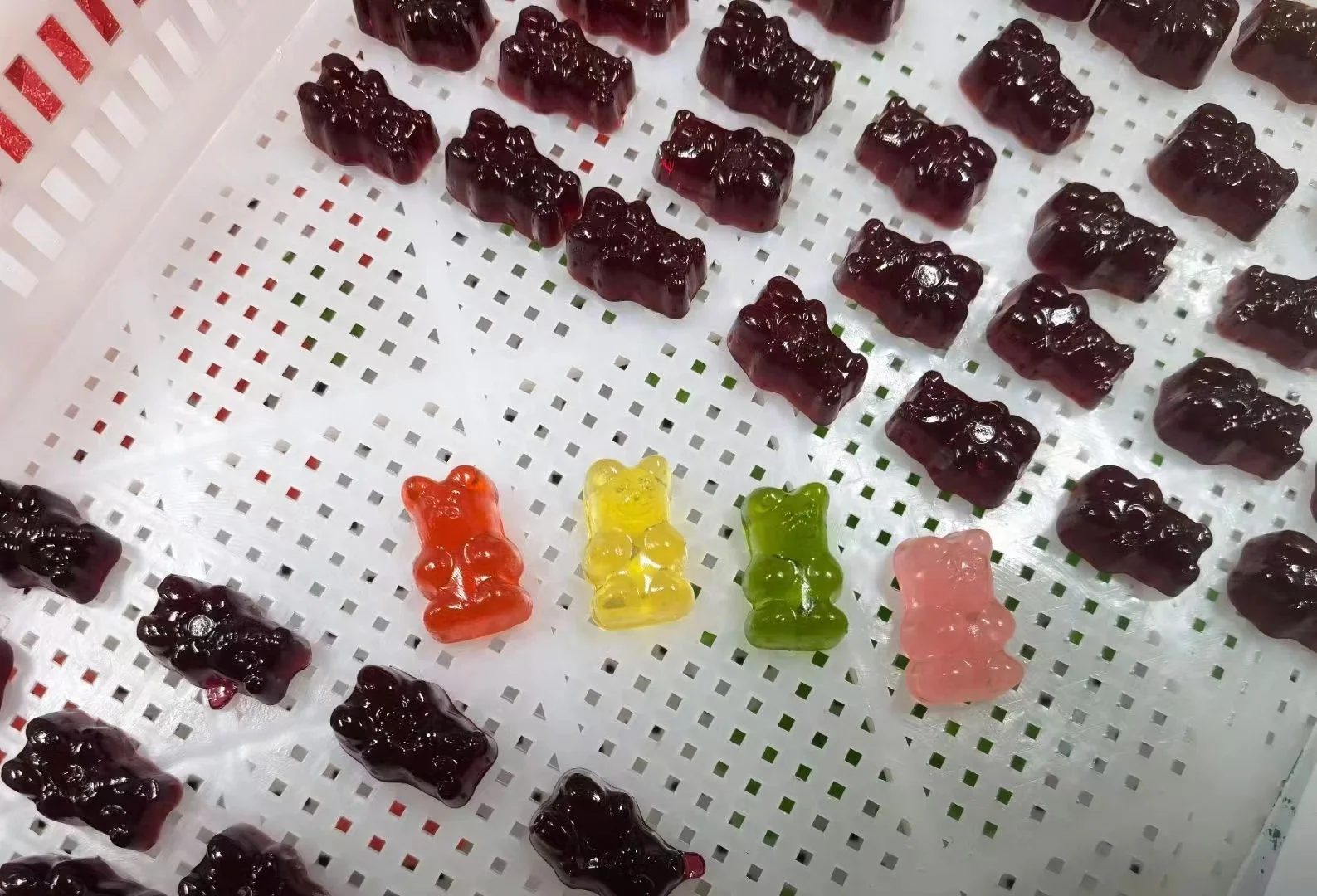 Organic Sea Moss Gummies Contains Irish Sea Moss + Burdock Root + Bladderwrack for Stronger Immune, Healthier Skin