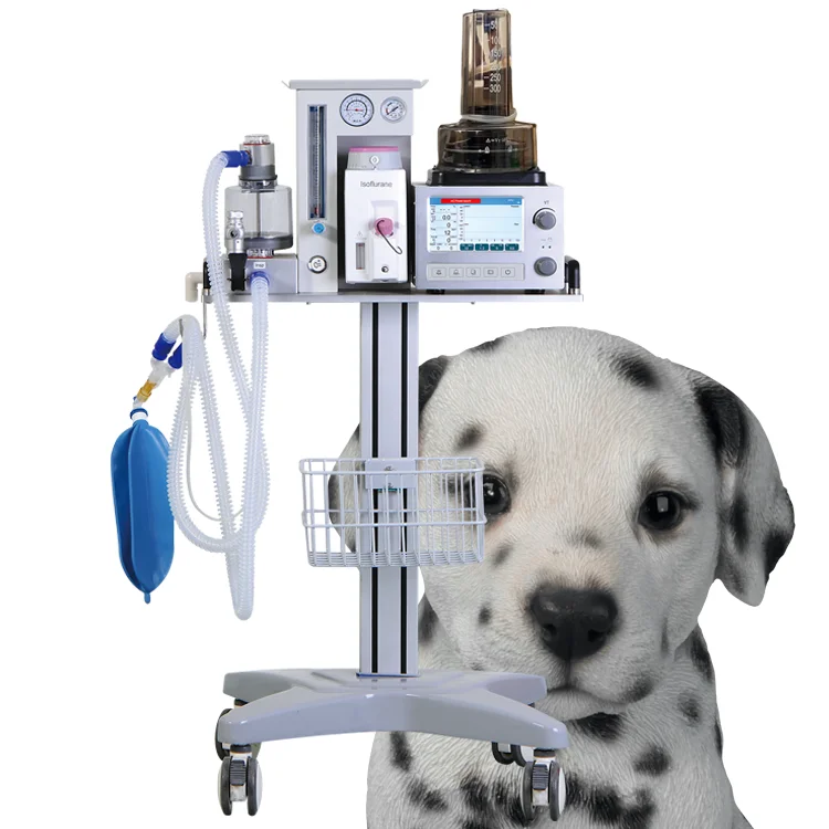Factory price  Pet Clinic portable veterinary anesthesia machine patient monitor for veterinary use maquina de anestesia