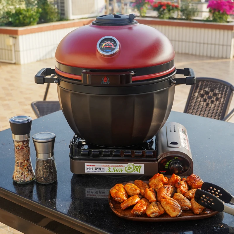 Grill Gas Portable Barbeque Grill Table Top BBQ Gas Smoker Stove Outdoor Babecue Grill