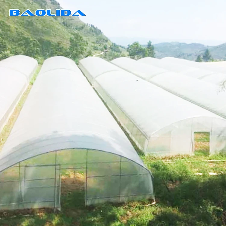 Excellent strength Low cost single-span green house plastic cover PEP greenhouse