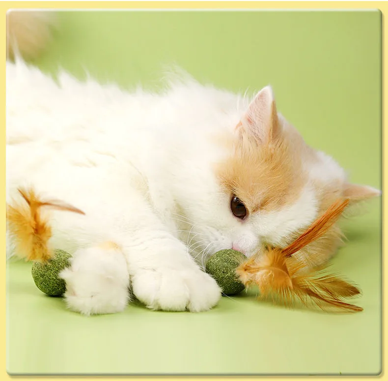 100% мячик из кошачьей мяты