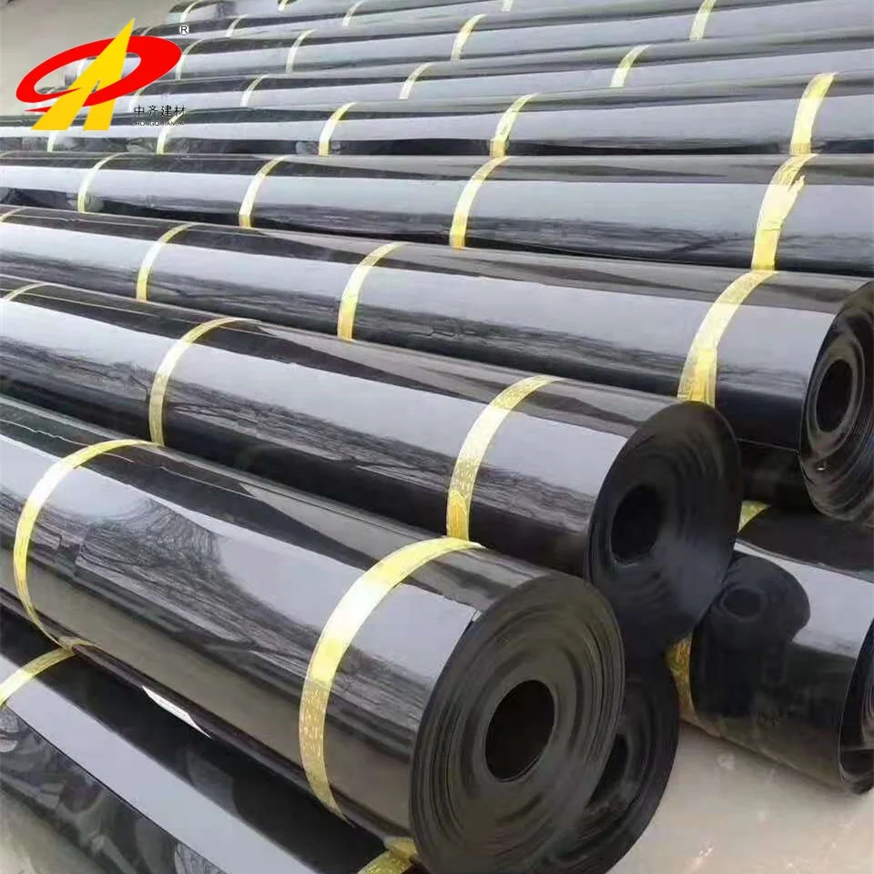 High Density Polyethylene Sheet HDPE Geomembrane for Biogas Containment