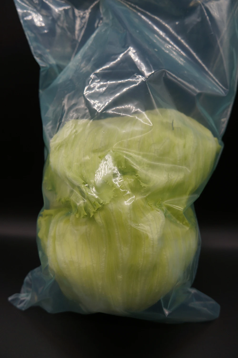 Moisture-proof Portable Food Reusable Plastic To Preserve Storage Freezer Zipper Moisture Barrier Fruit Vegetable Packaging Bag