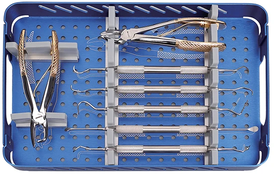 Veterinary Small Animal Dental Instruments Kit