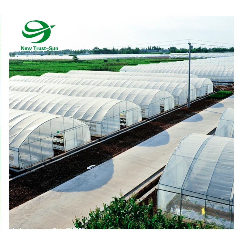 
agricultural green house aquaponics hydroponic system vertical farm plastic Single-Span greenhouse 