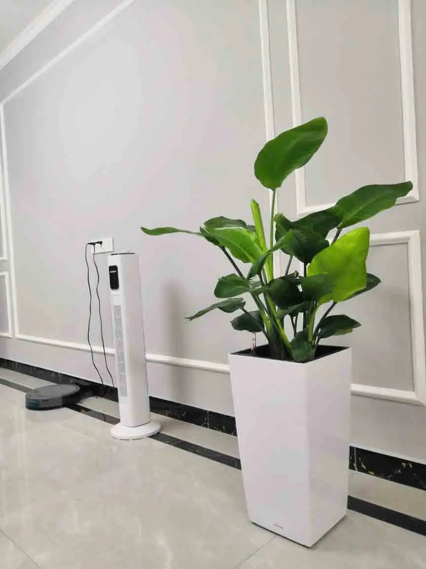 Large Plastic Decorative Plant Pots for Outdoor Use Glazed Flower/Green Plant Shape for Floor Usage Shopping Malls for Bonsai