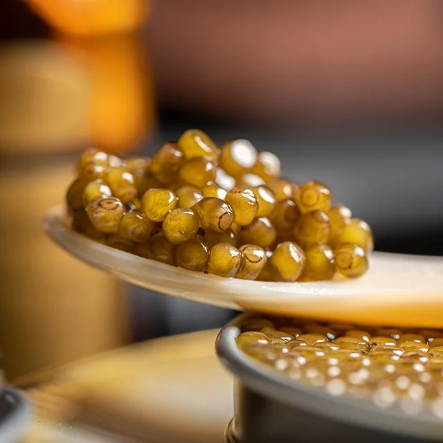 15kg sturgeon caviar