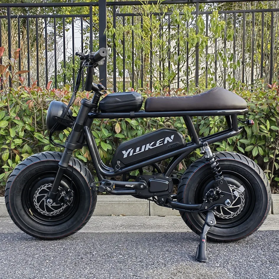 48v 500w/750w/1000w super bike hub motor 16*4.0 inch fat tire two seat electric bike Moto Electrica 73 ebike