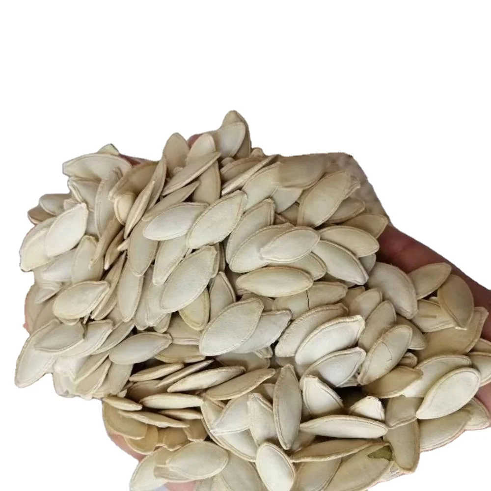 China Manufacture Quality Lady Nail Pumpkin Seeds Edible Pumpkin Seeds For EXPO