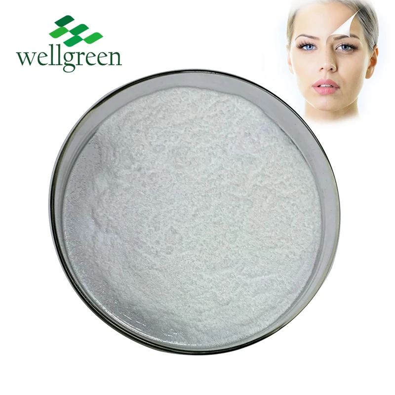 
Wellgreen Factory Price Cosmetic Grade 99% Glycolic Acid for Skin Care 