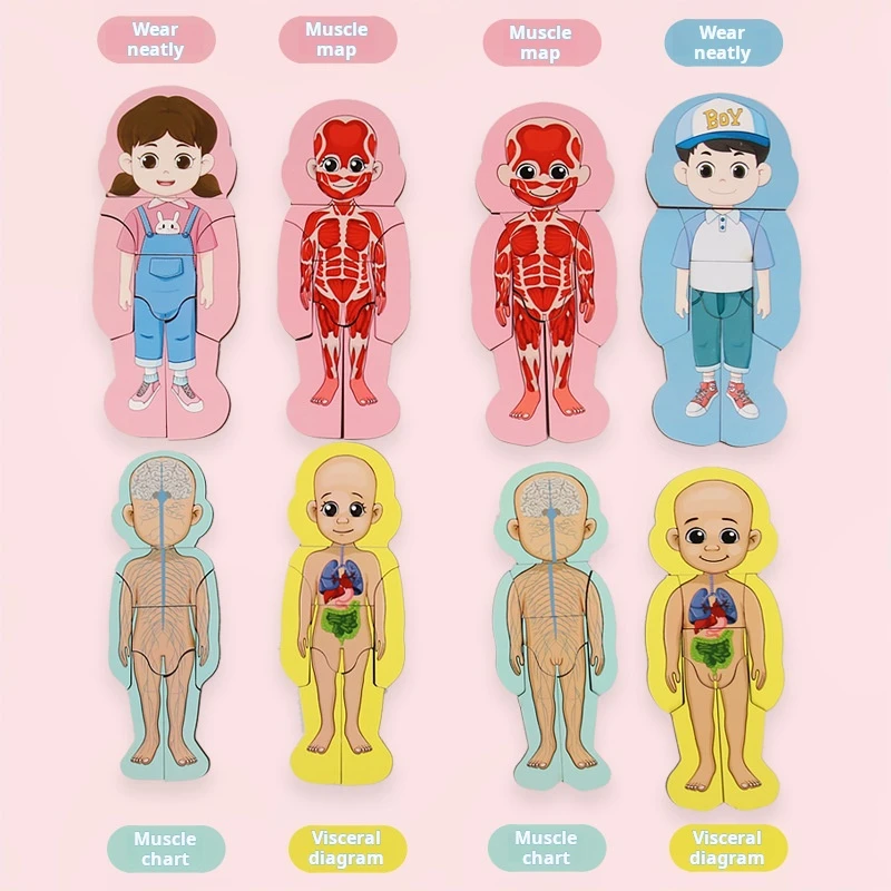Kids Wooden Human Body Puzzle Early educational Toys for Kids