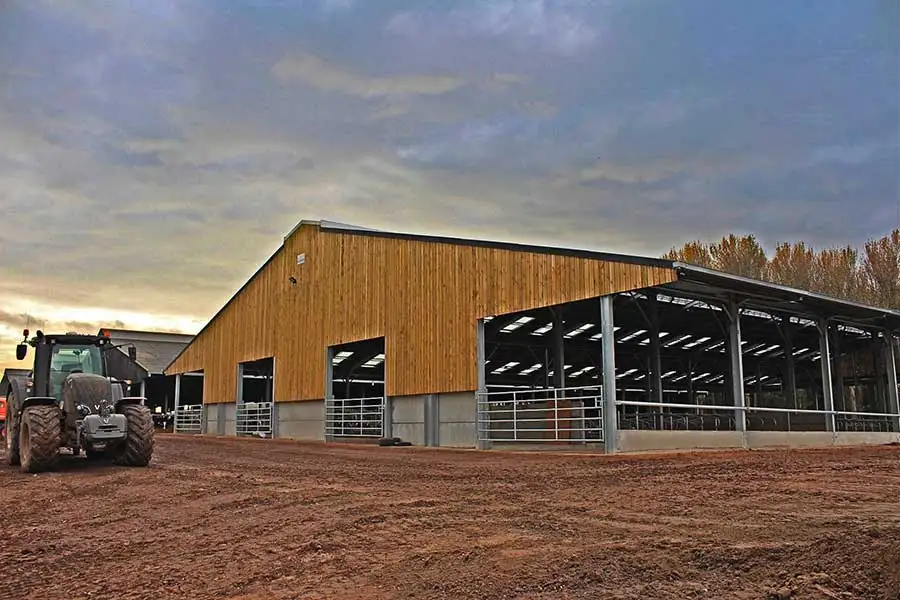 Cattle Barn Steel Structure For Livestock Farming House Prefabricated Cow Shed