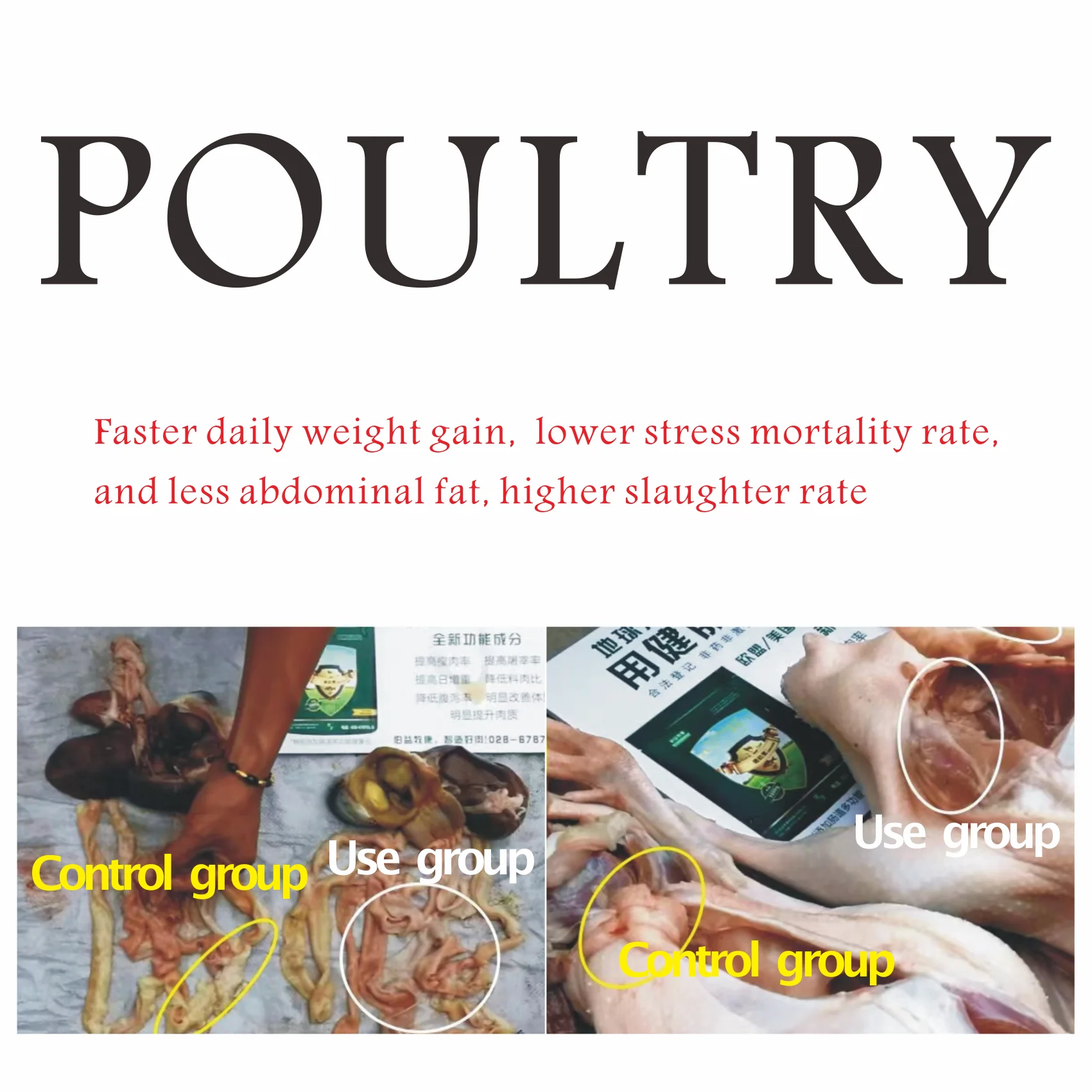 Creasource synergistic guanidinoacetic acid cattle Simmental feed additives for reducing subcutaneous  abdominal fat deposition