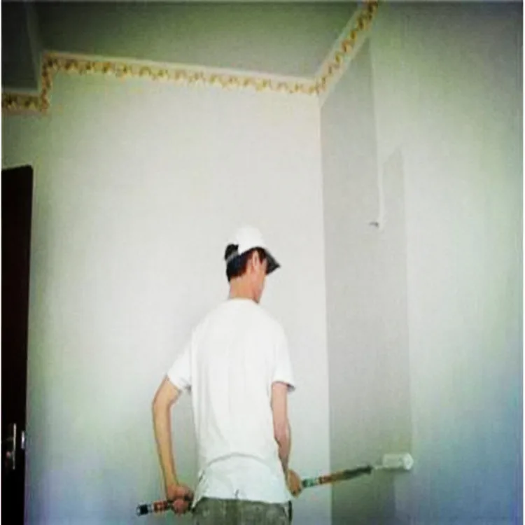 Two-Component Polymer Emulsion Waterproof Coating Material Good Film-Forming with High Permeability Adhesion Water Resistance