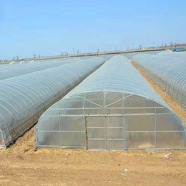 High quality cheap price greenhouse farm for tomato growing .