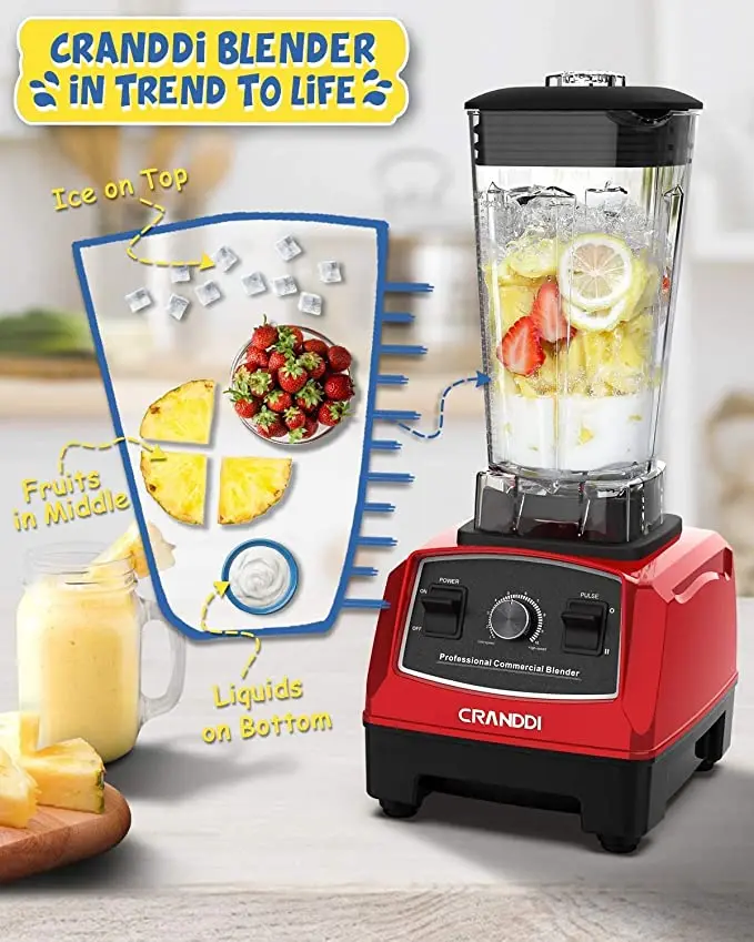 PROFESSIONAL BLENDER 010-3.jpg