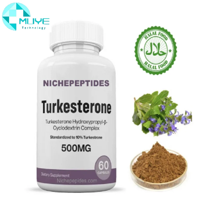 Wholesale Bulk 100% natural Pure 2% 10% Ajuga Turkestanica Extract Powder Turkesterone