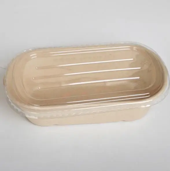 100% biodegradable bagasse food containers compostable eco pulp fast food container Take Out box
