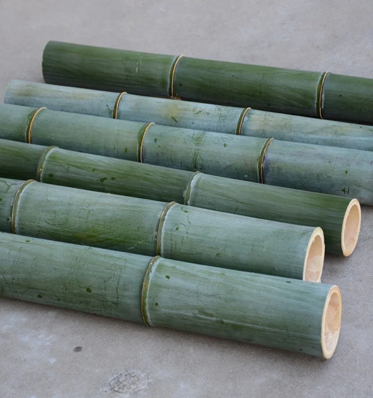 
Natural Moso Bamboo Poles for Construction, Moso Bamboo, Big Bamboo Poles 