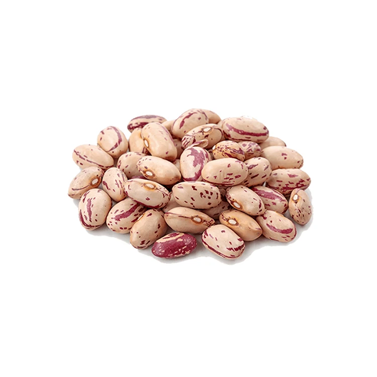 Premium Quality1/2 Agricultrure Legumes Bean Organic Bulk Long Shape Red Kidney Bean