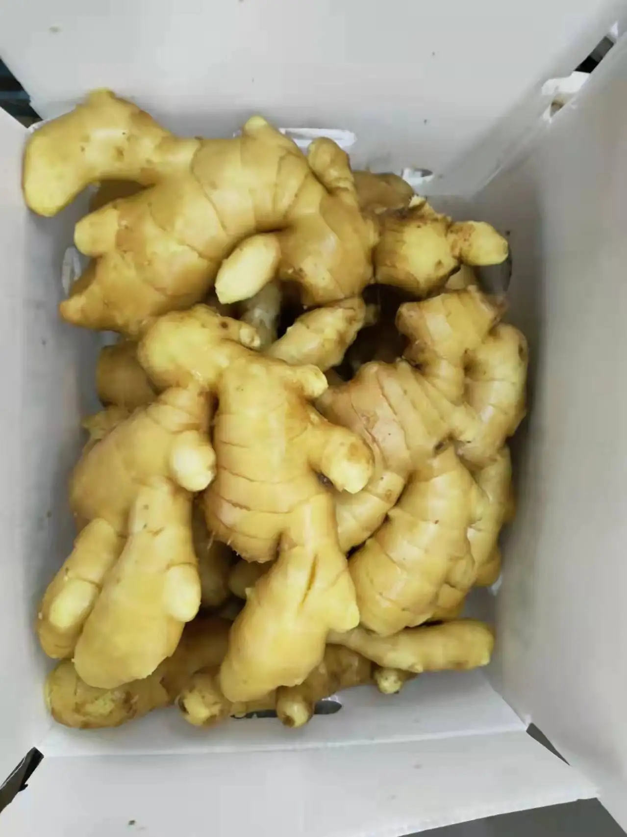 hot sale Chinese fresh ginger water washed fresh ginger factory price fresh ginger