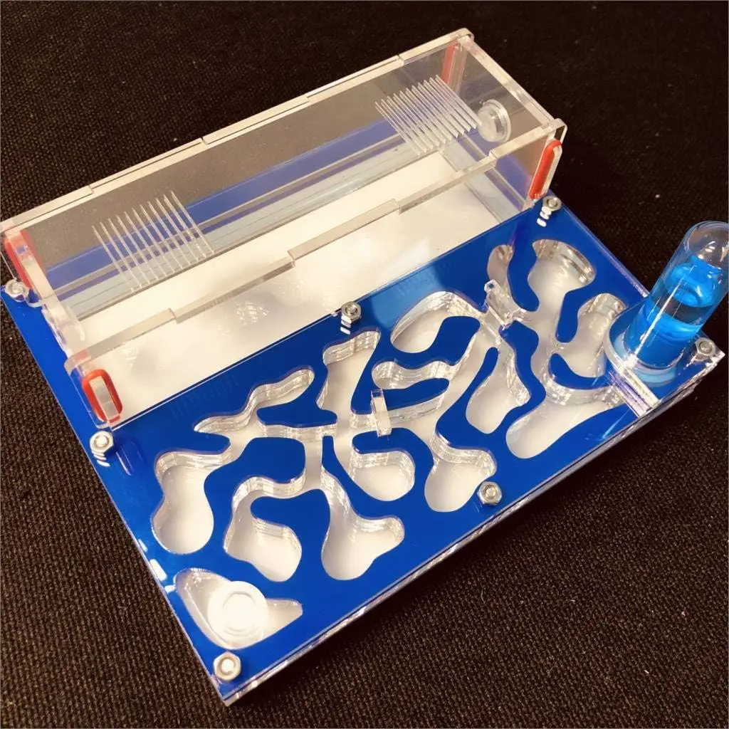 high quality ecological black acrylic ant farm habitat with ventilation