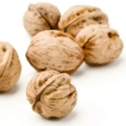 Wholesale Large Size High Quality and Cheap Walnut and Walnut kernels from Xinjiang