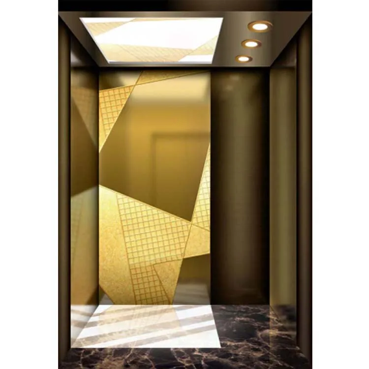 China Residential and Commercial Indoor/Outdoor Elevator Price