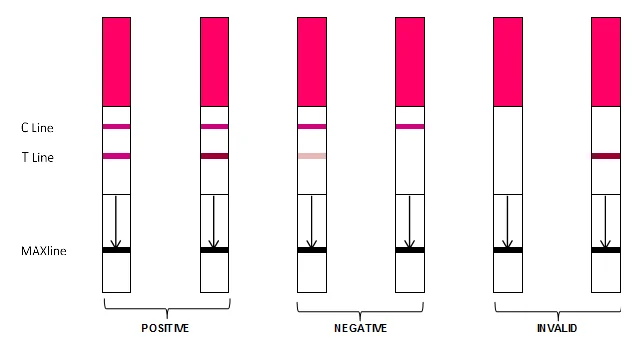 IVD Rapid  LH Urine Ovulation  diagnostic Test (Colloidal Gold) strip - OEM Manufacturer