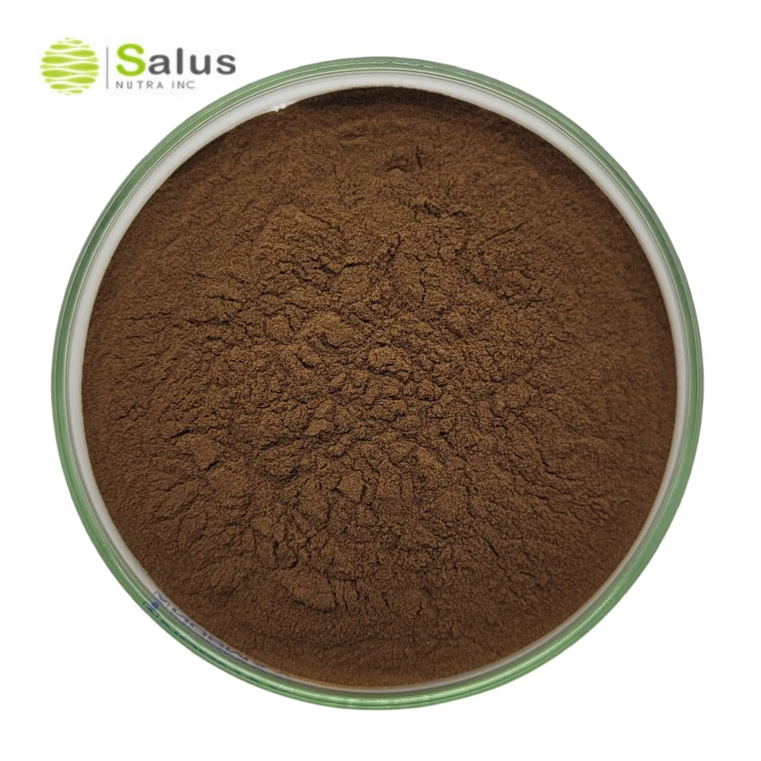 Заводская оптовая продажа OEM Private Label Reishi грибной кофе