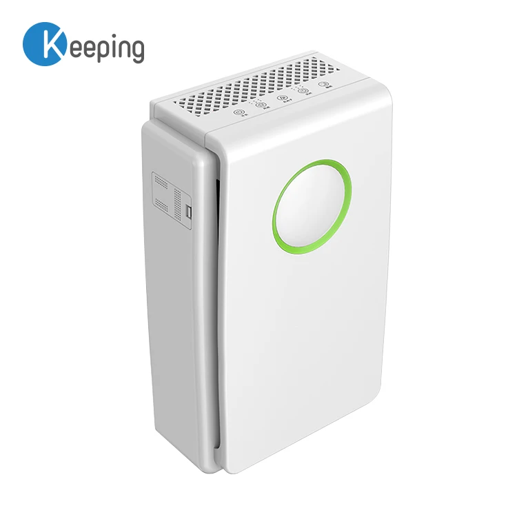 Household Air Cleaning Purifiers Dust Hair Pm2.5 Removal High Efficient Hepa Filter Air Purifier with Anion Generator