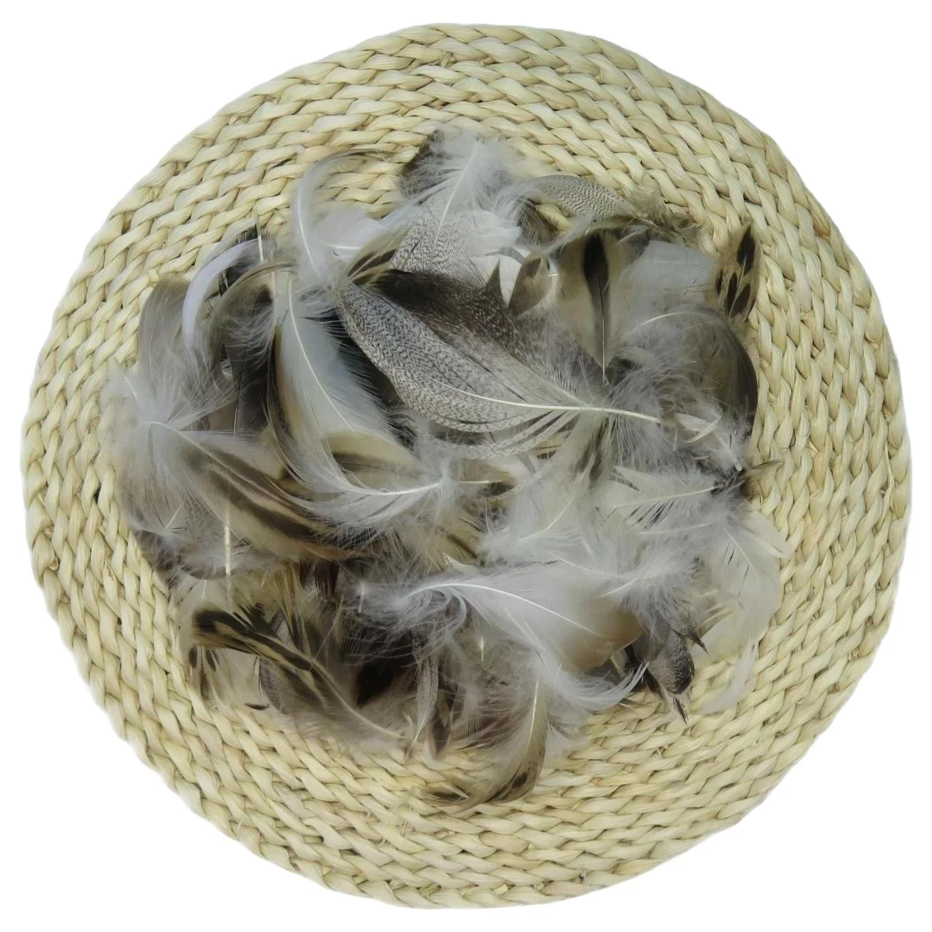 High Quality Organic 5-8cm Grey Duck down Feathers Washed Filler Material for DIY Projects