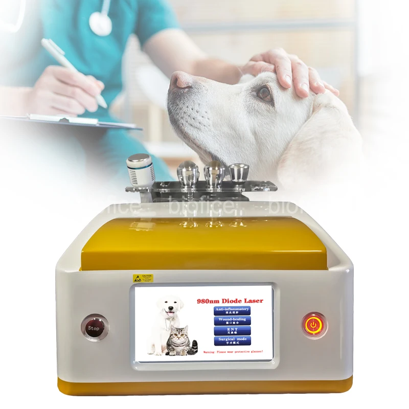 top sales professional portable veterinary equipment for animal laser therapy and animal laser treatment