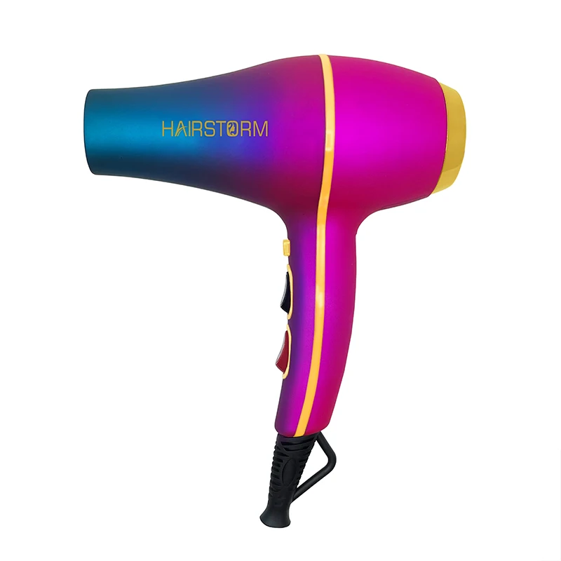 Most Popular Salon Hairdryer Ionic 2021 Professional Best Selling Hot Blow Hair Dryer Ac