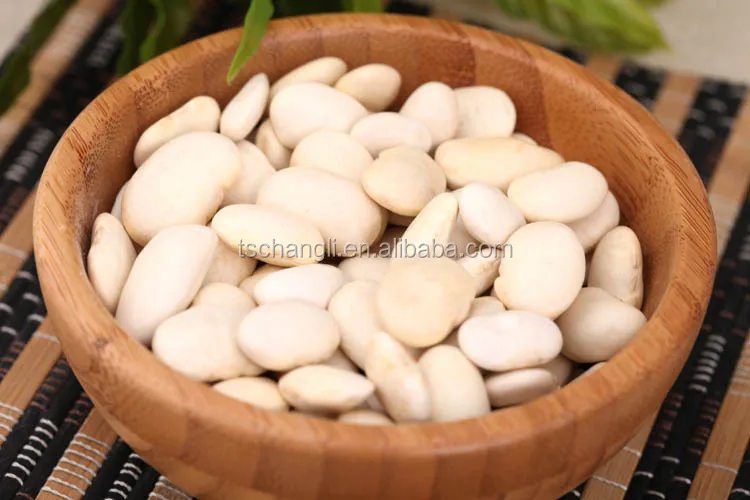 on sale egyptian white kidney beans good quality low-fat kidney beans