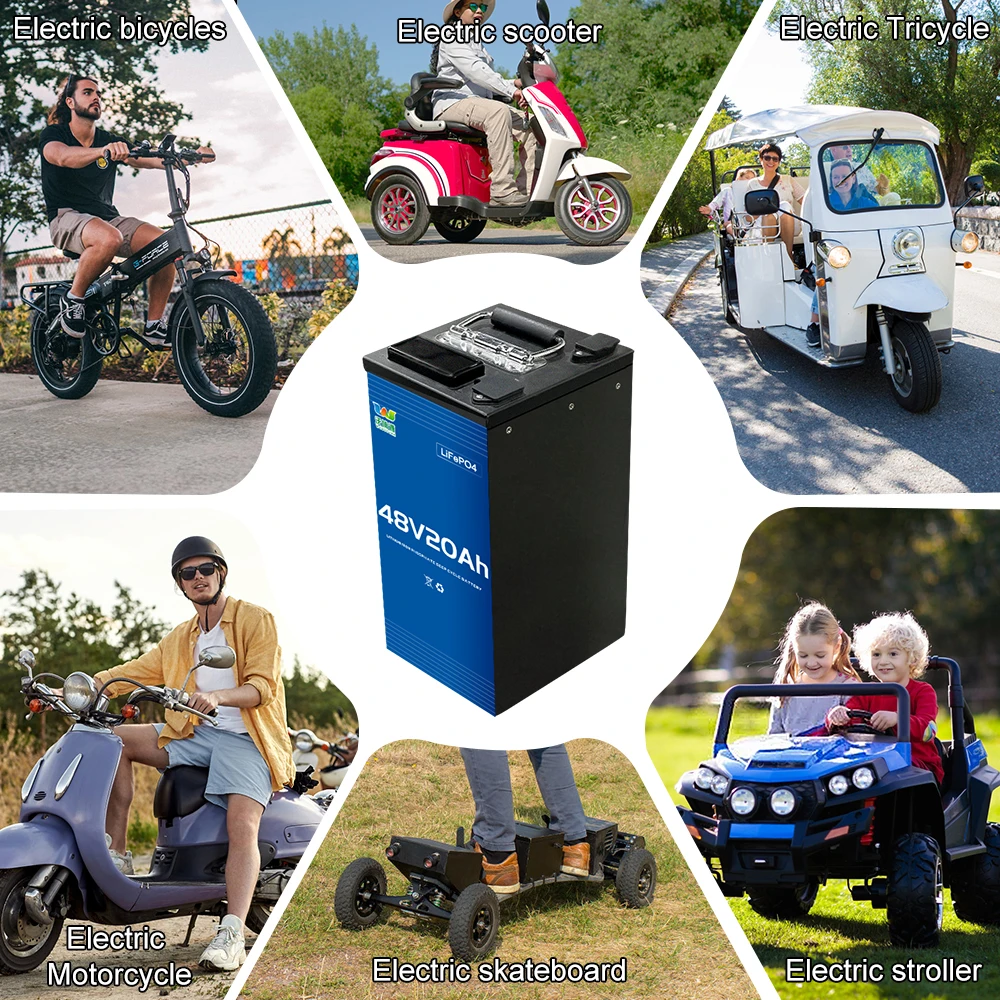 Lithium iron phosphate 48V 20Ah Battery Pack for e-scooter e-bike