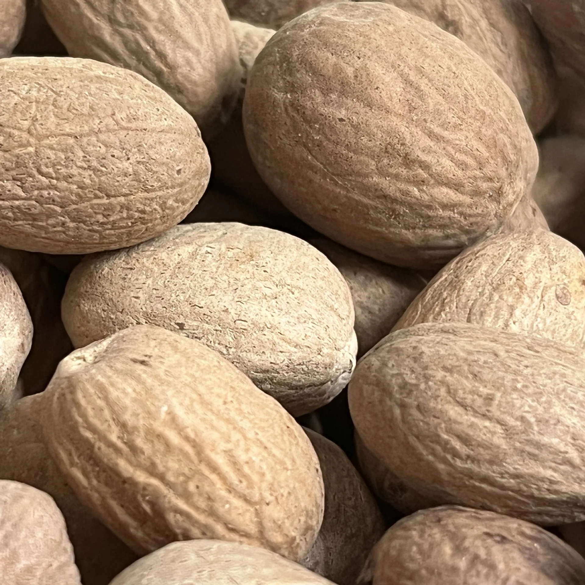 GEKO Food Top Product Cardamom Seed Wholesale Nutmeg For Single Spice Seasoning