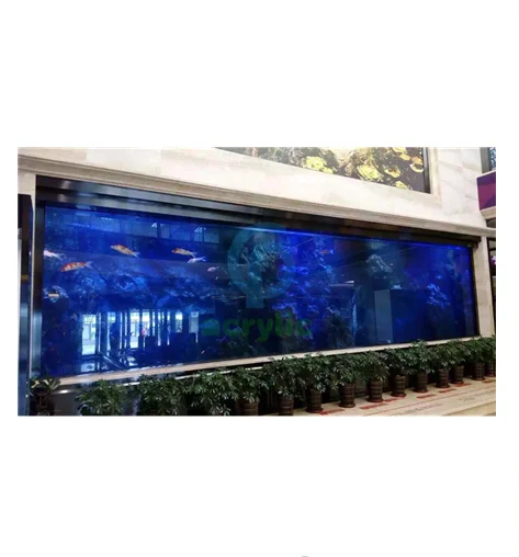 PG Home Made Red Sea Farming Aquarium Big Acrylic Fish Tank
