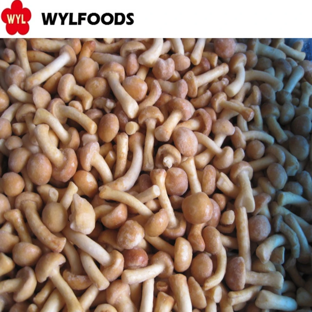High Quality Iqf Frozen Nameko Mushroom for frozen mushroom