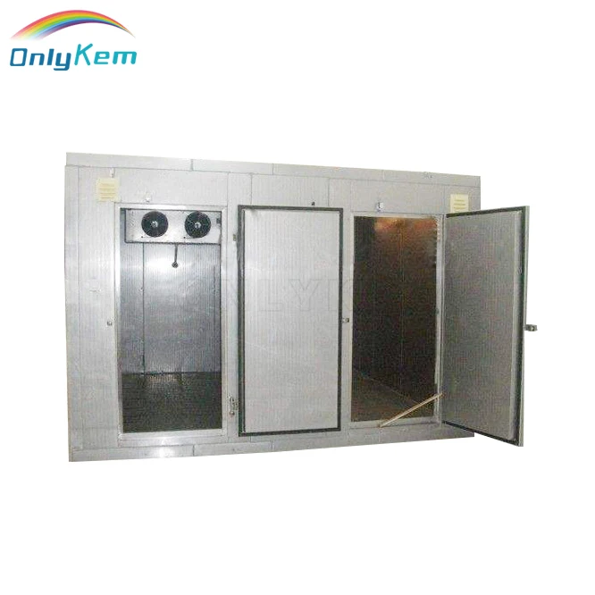 Commercial Food Meat Fish Cold Storage Refrigerator Freezer Cold Room Equipment for Sale