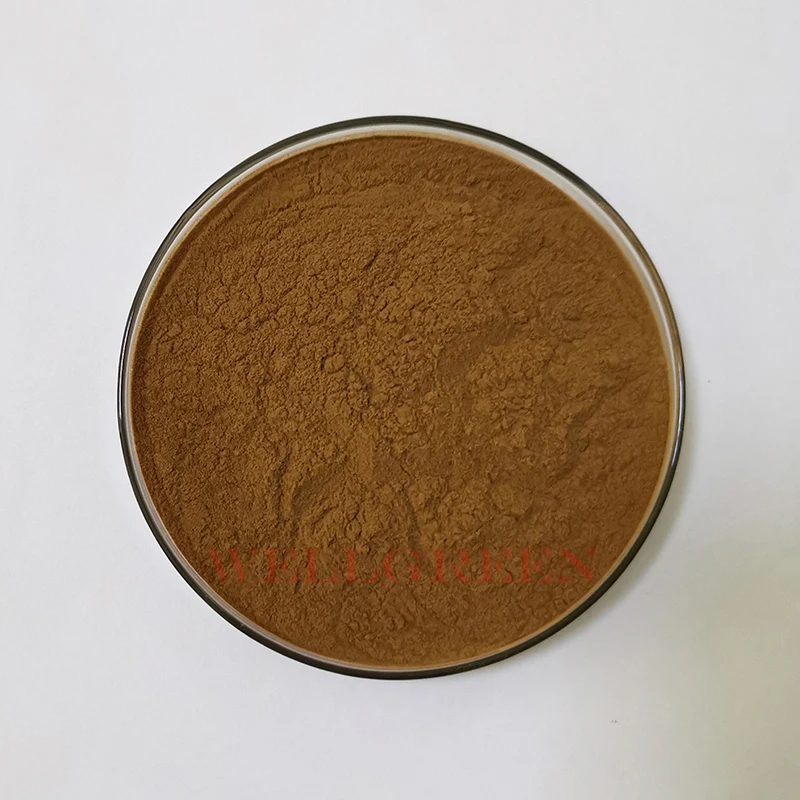 
Honeysuckle Flower Extract/Lonicera Japonica Extract/Flos Lonicerae extract 